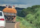 Trabalhadores são transportados em cima de carga em  caminhão na GO 330 entre Ouro Verde e Campo Limpo de Goiás