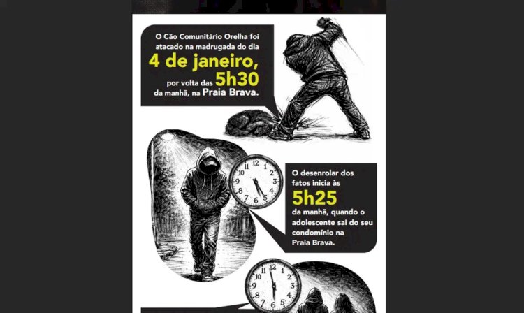 Cão Orelha: Polícia usa imagens e dados de celular para desvendar caso